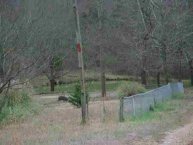 275 Davis School Road Martin, GA 30557 - Photo 5 of 5