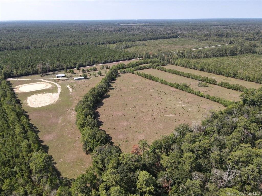 Tbd Ward Line Road Kinder, LA 70648 - Photo 9 of 14