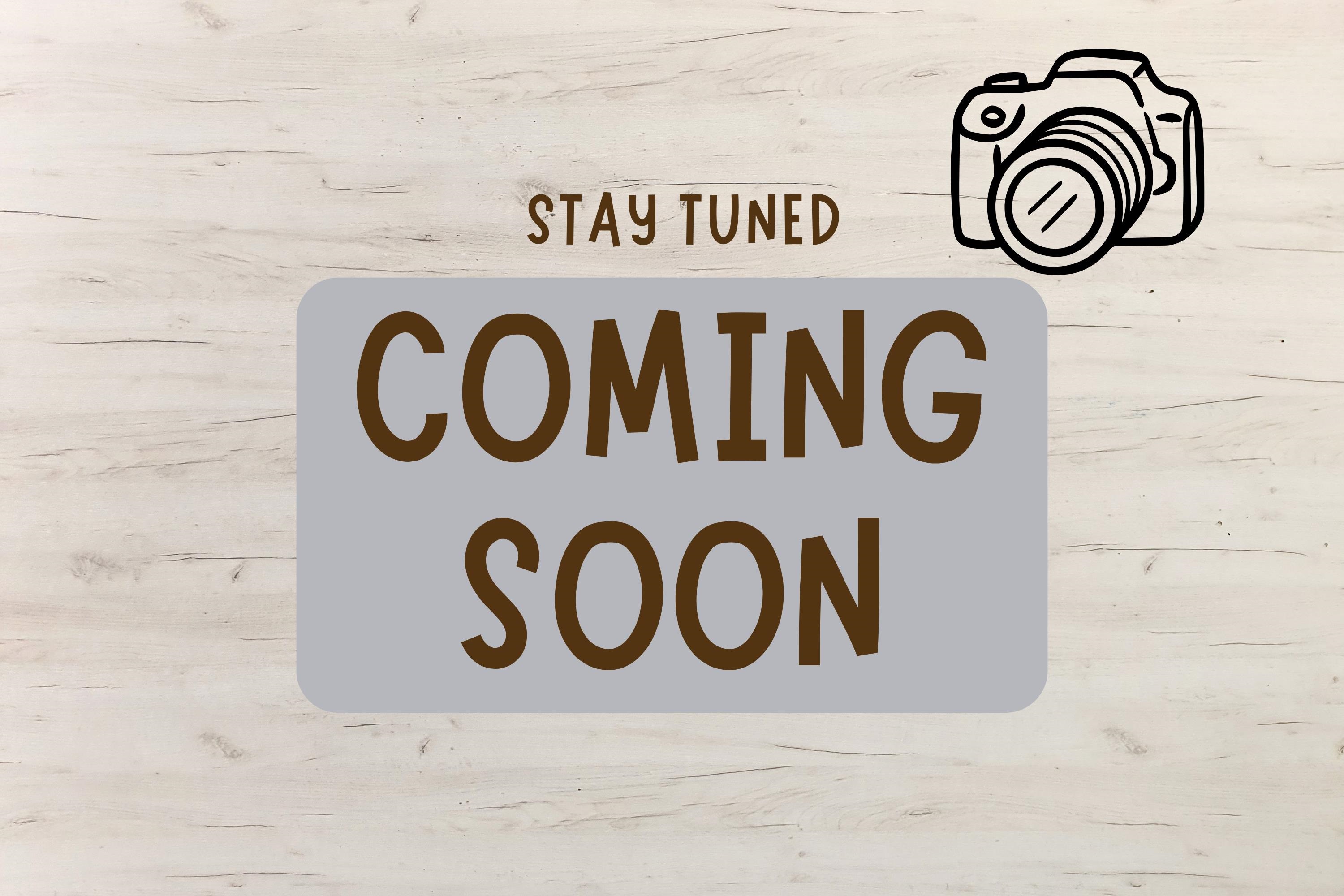 442 East Bluff Madison, WI 53704 - Photo 1 of 22