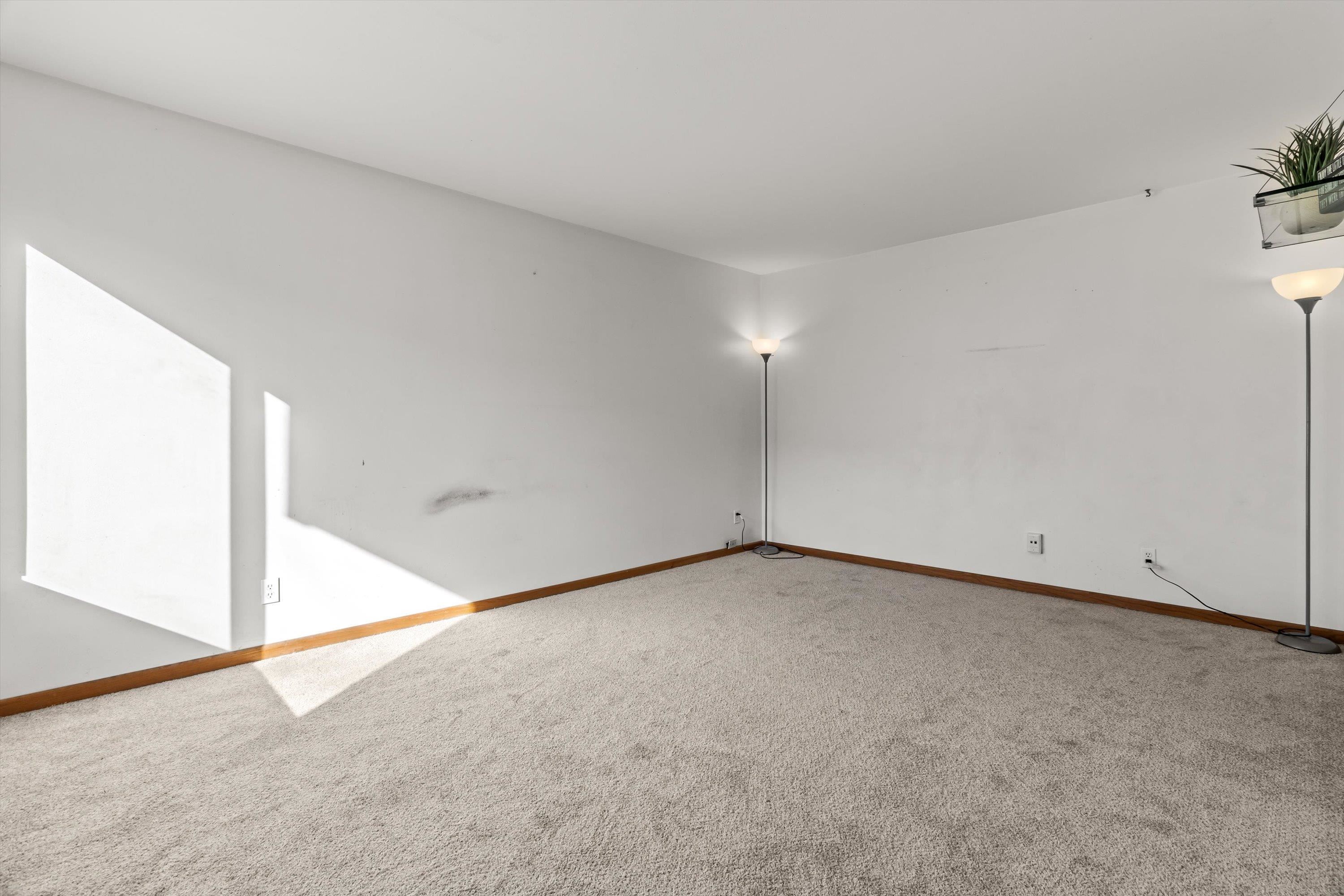 442 East Bluff Madison, WI 53704 - Photo 10 of 22