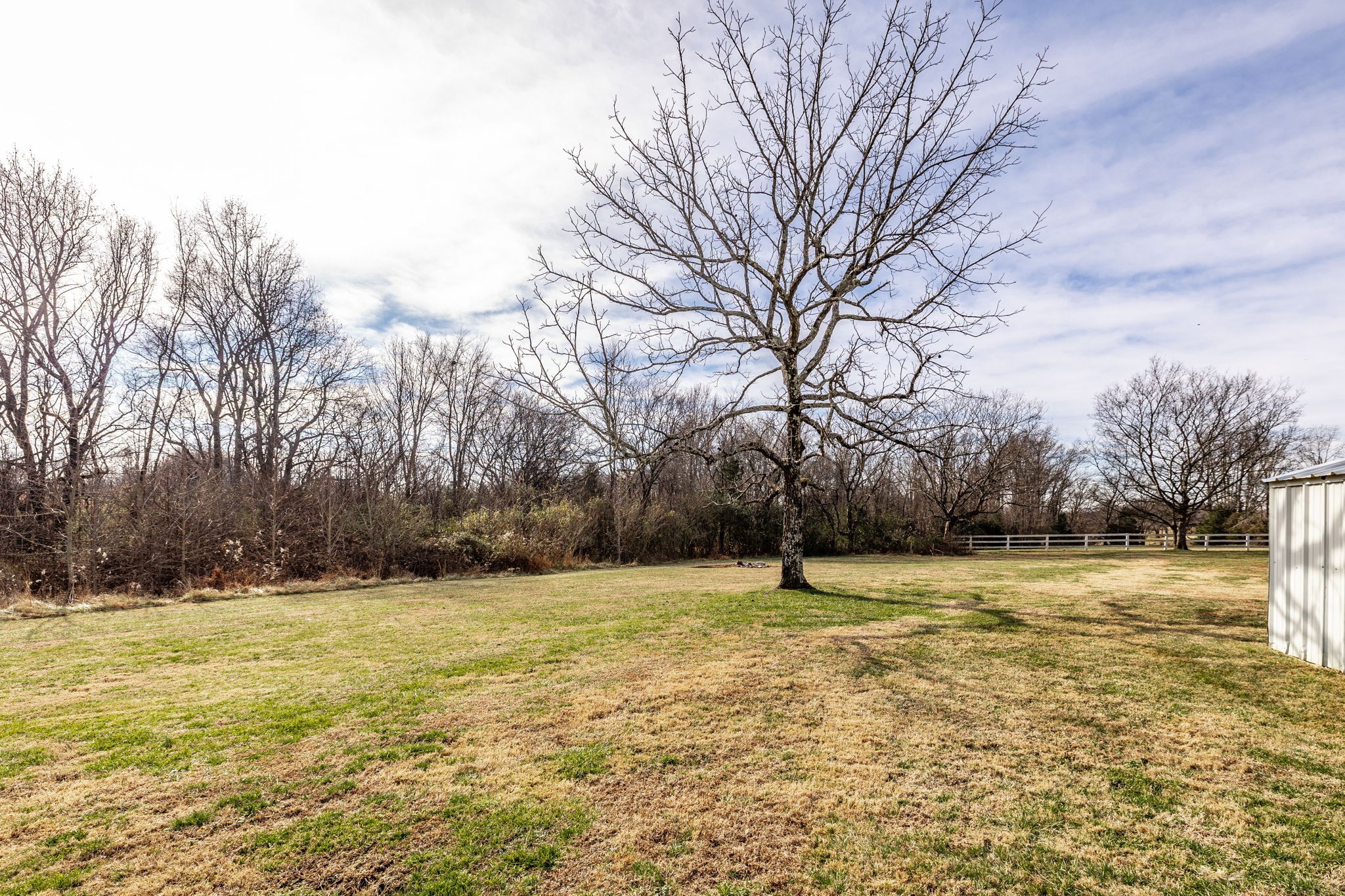 145 New Deal Potts Road Cottontown, TN 37048 - Photo 38 of 40 a view of a with large trees