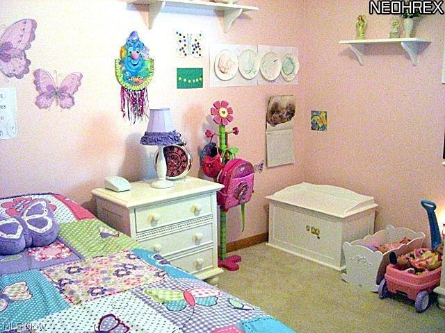 43 South Tamarack Road Akron, OH 44319 - Photo 12 of 19 Gallery Image 12
