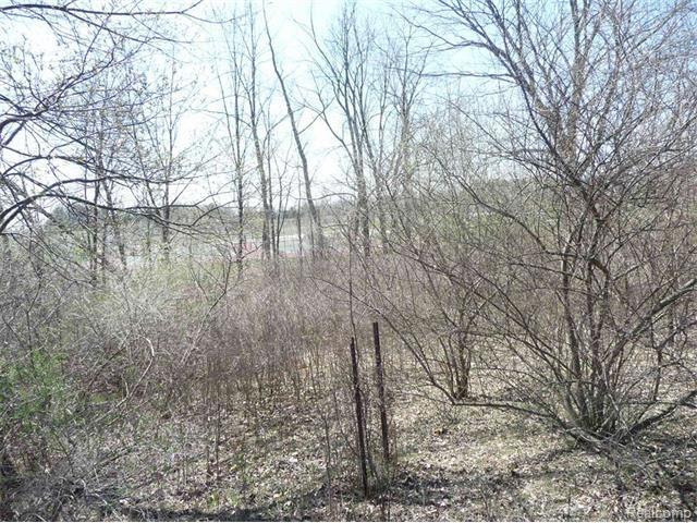0 North Squirrel Road Auburn Hills, MI 48326 - Photo 9 of 9