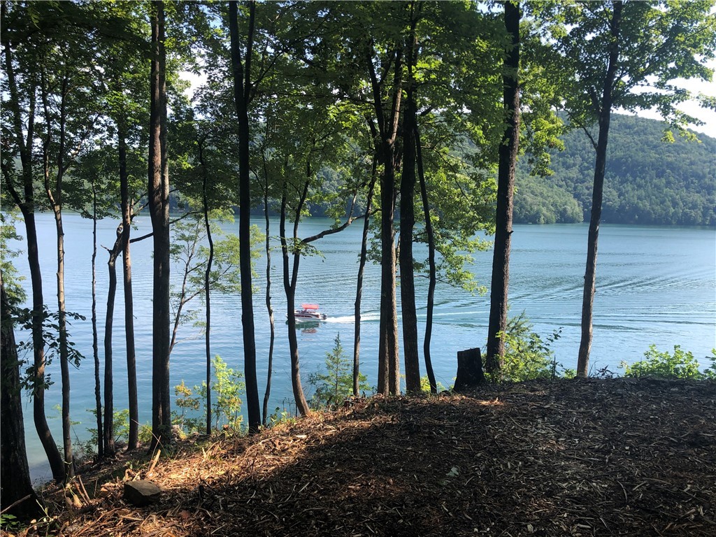 0 Fisher Knob Road Salem, SC 29676 - Photo 7 of 20 Lake level homesite-view to the East
