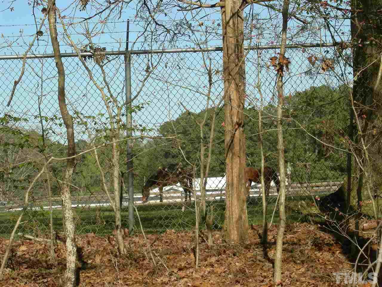 105 Galloway Court Raleigh, NC 27615 - Photo 22 of 30 Watch the horses.