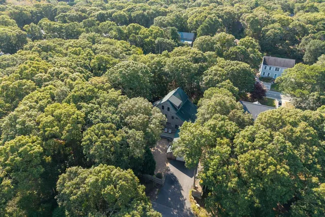 a view of a garden with plants