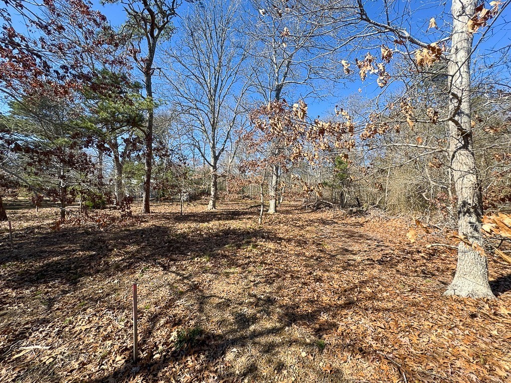 0 Robbins Hill Road Brewster, MA 02631 - Photo 6 of 16 Gallery Image 6