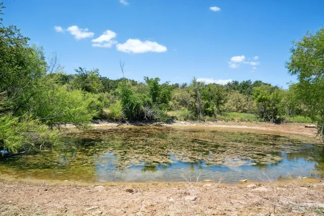 a view of a lake from a yard