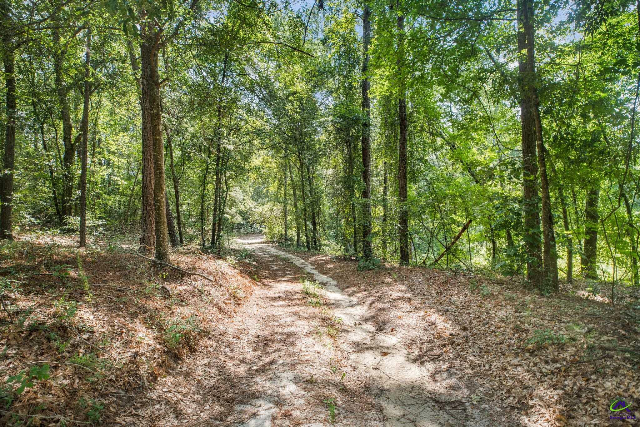 785 Moncrief Road Roberta, GA 31078 - Photo 3 of 29