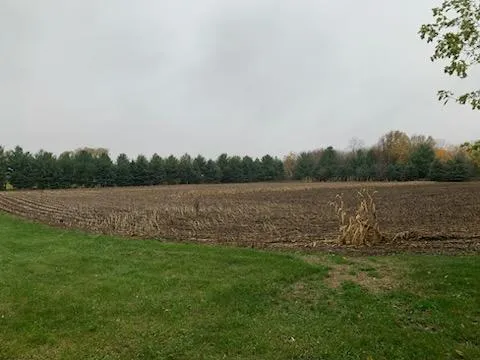 $179,900 | Tbd Harrison Avenue Northeast, Racine, MN 55967