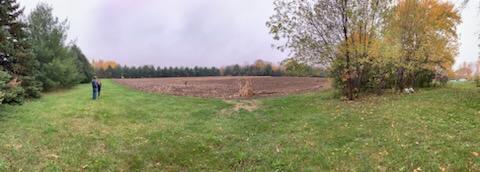 Tbd Harrison Avenue Northeast Racine, MN 55967 - Photo 2 of 7