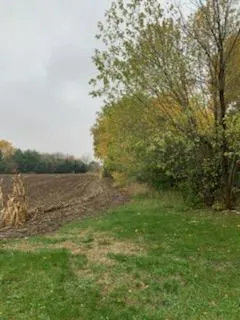$150,000 | Tbd Harrison Avenue Northeast, Racine, MN 55967