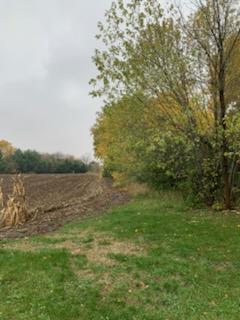 Tbd Harrison Avenue Northeast Racine, MN 55967 - Photo 3 of 7