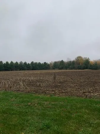 $150,000 | Tbd Harrison Avenue Northeast, Racine, MN 55967