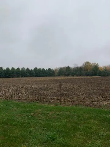 $150,000 | Tbd Harrison Avenue Northeast, Racine, MN 55967