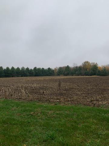 Tbd Harrison Avenue Northeast Racine, MN 55967 - Photo 4 of 7