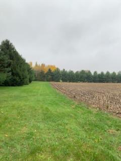 Tbd Harrison Avenue Northeast Racine, MN 55967 - Photo 5 of 7