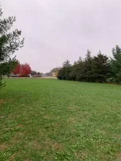 $150,000 | Tbd Harrison Avenue Northeast, Racine, MN 55967