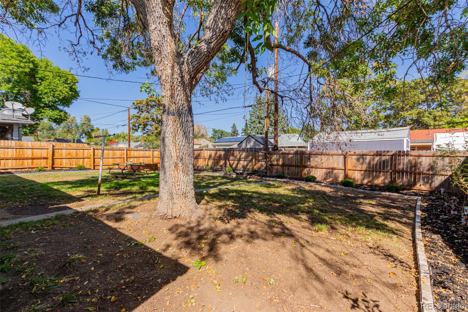 7330 Decatur Street Westminster, CO 80030 - Photo 37 of 37 a view of a yard with plants and trees