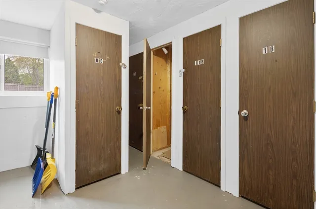 a view of a house with a yard and a large tree