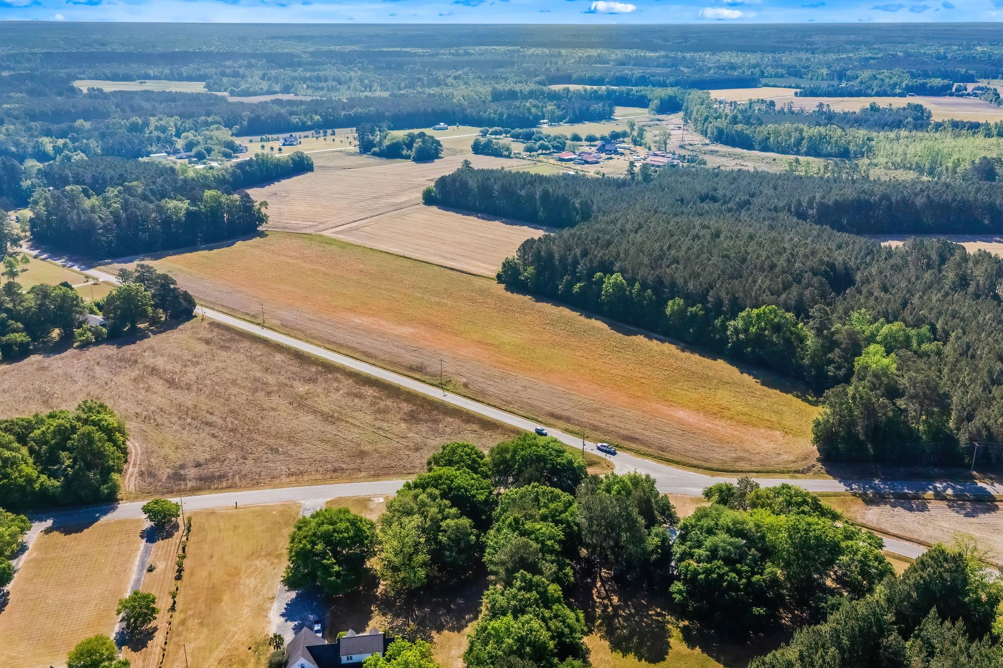 Tbd Ray Road Hemingway, SC 29554 - Photo 7 of 24