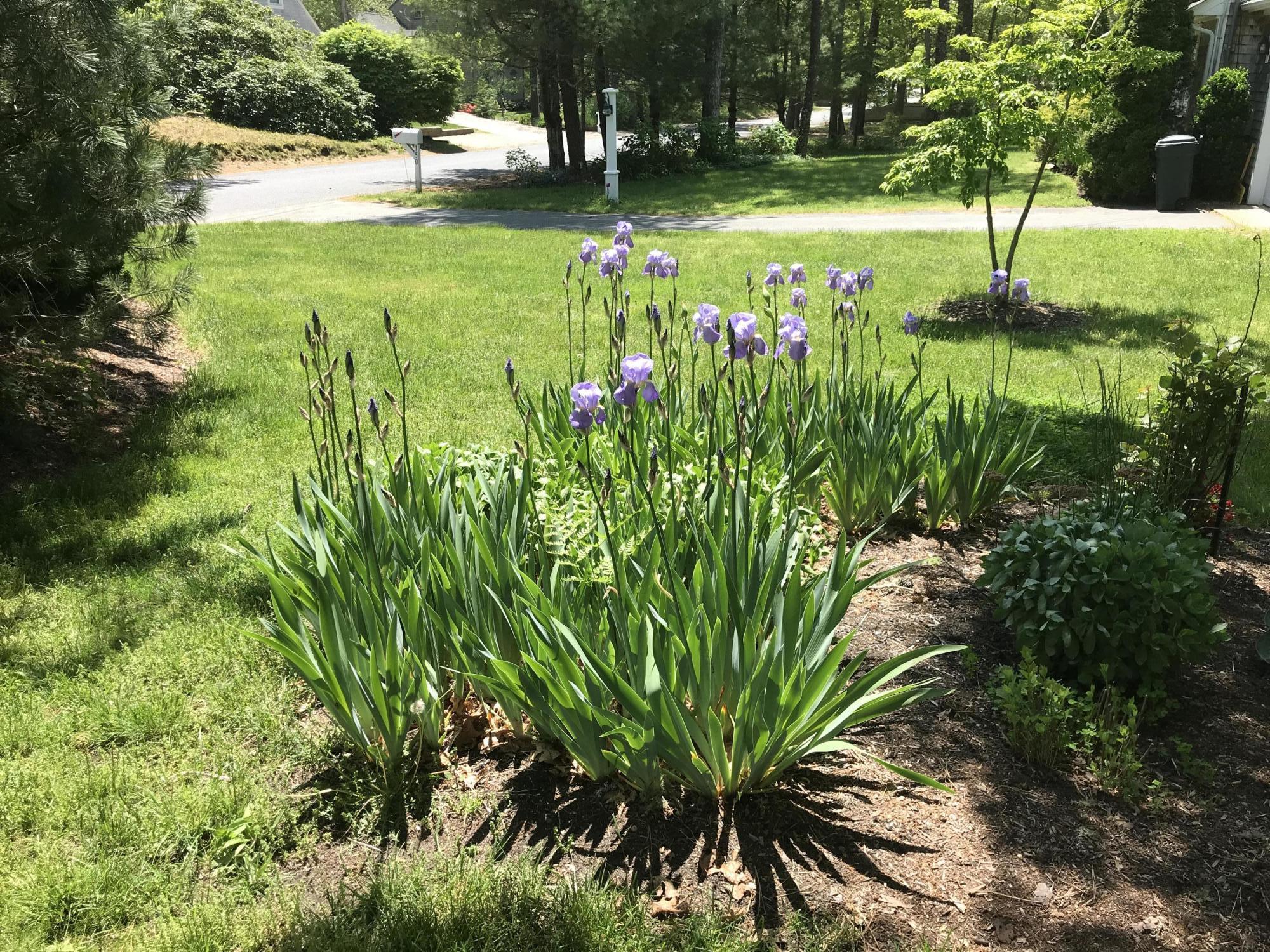 150 Round Cove Road Harwich, MA 02645 - Photo 15 of 15 IMG_2738