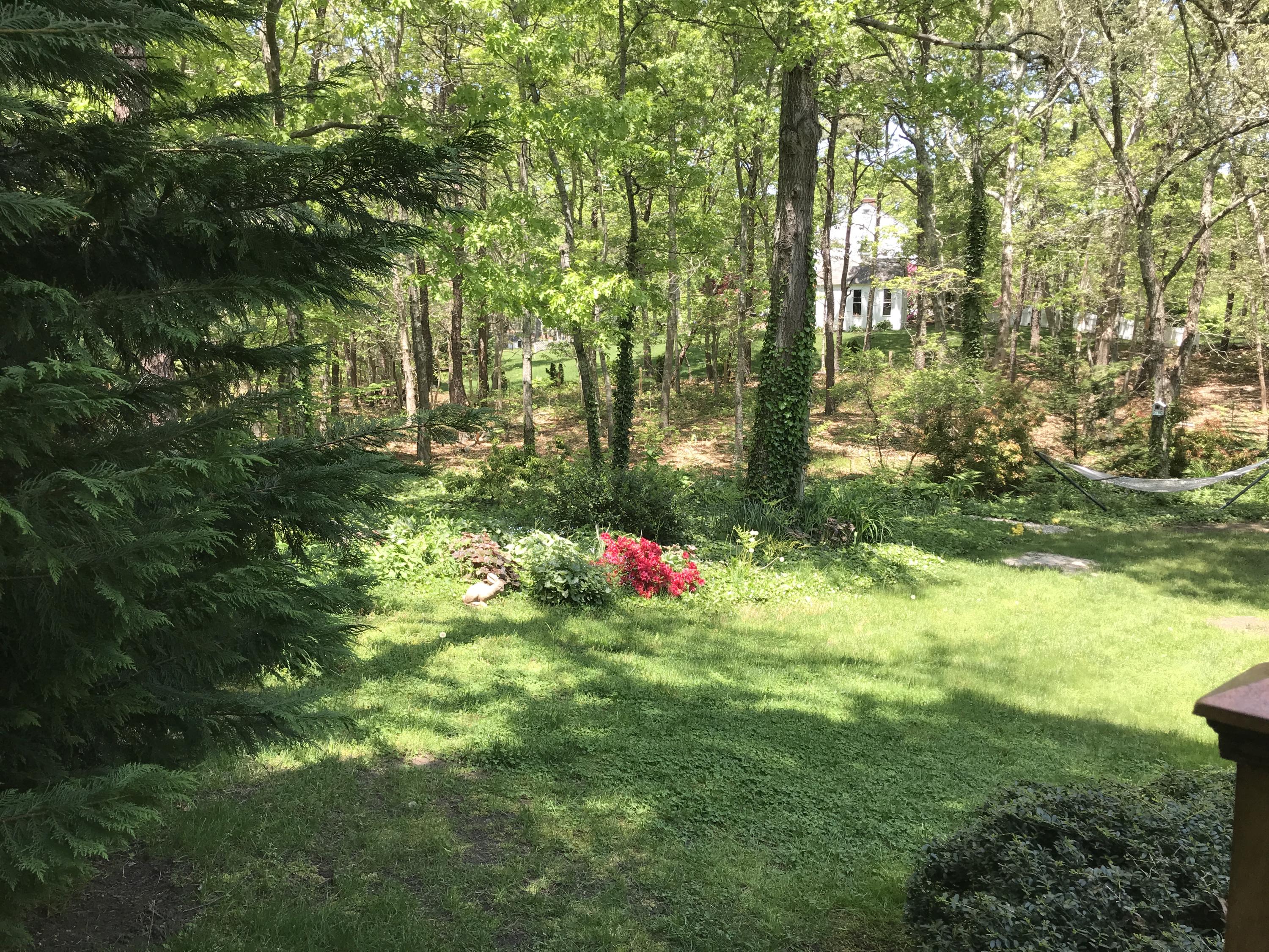 150 Round Cove Road Harwich, MA 02645 - Photo 8 of 15 IMG_2731