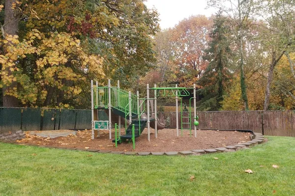 a view of a park with large trees