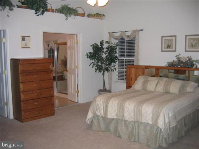 14504 Bubbling Spring Road Boyds, MD 20841 - Photo 4 of 21 a bedroom with a bed and a potted plant