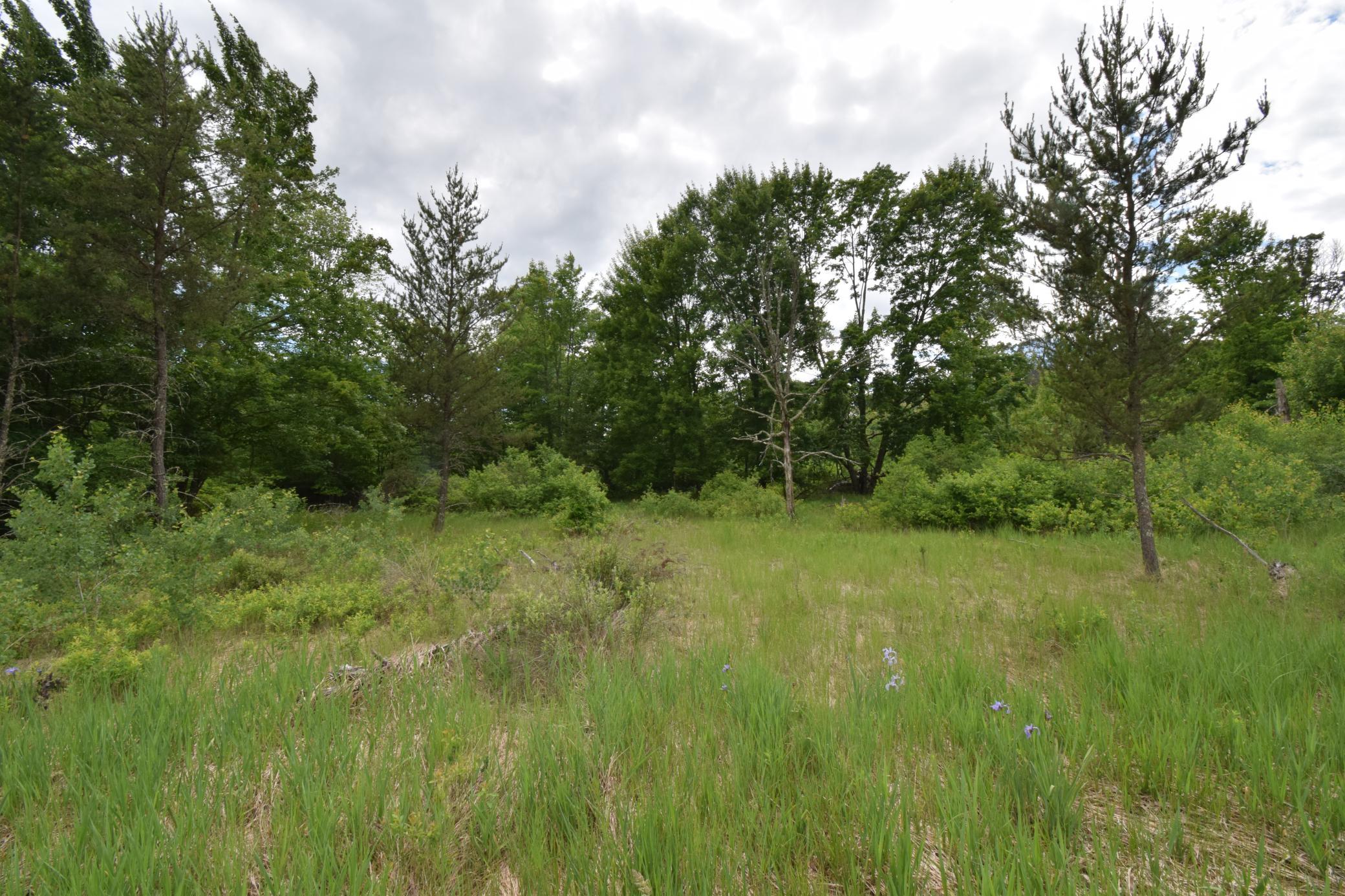 25385 Spaulding Road Grantsburg, WI 54840 - Photo 2 of 12