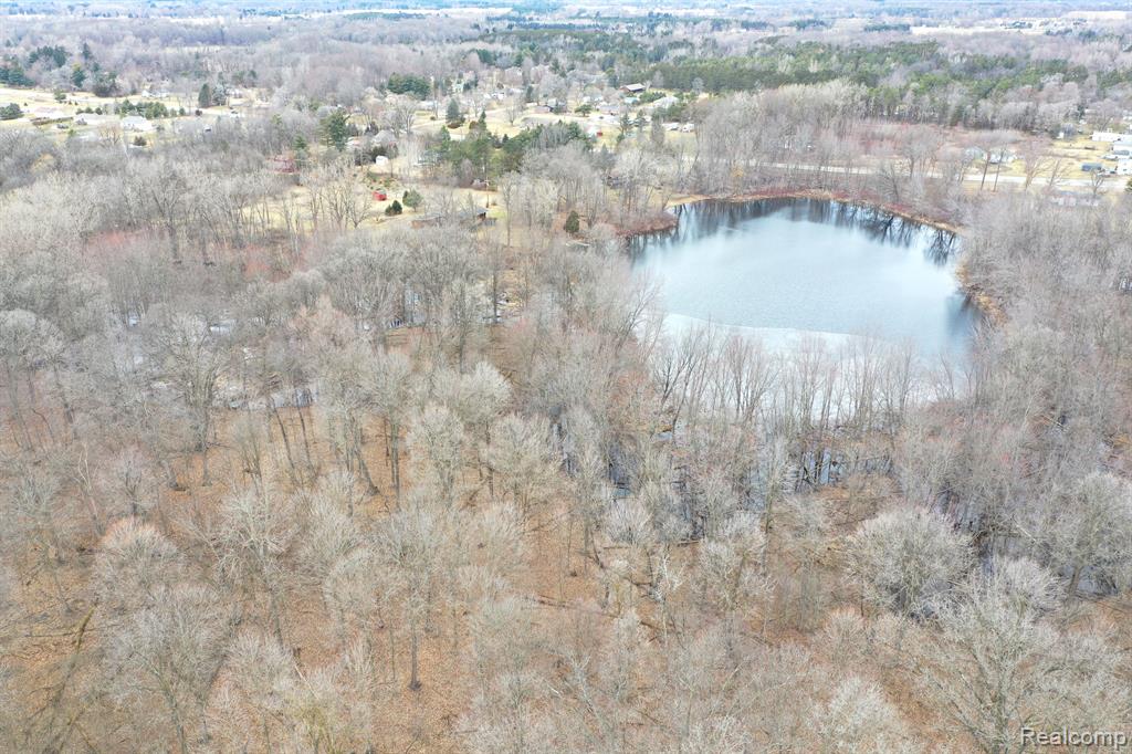 0 North Wilder Road Lapeer, MI 48446 - Photo 12 of 17