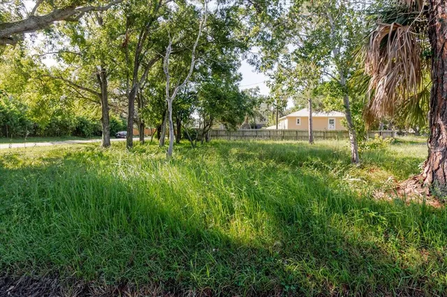 a view of backyard with green space
