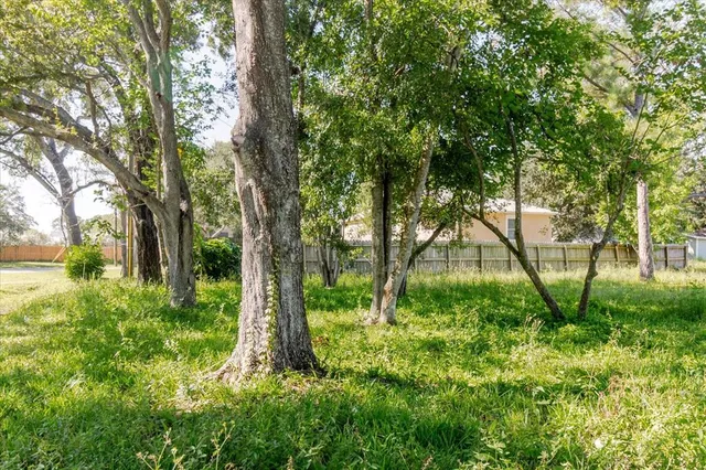 a view of backyard with large trees