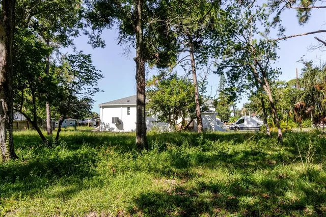 a view of backyard of house with green space