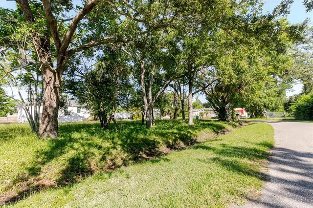 a view of a backyard with large trees