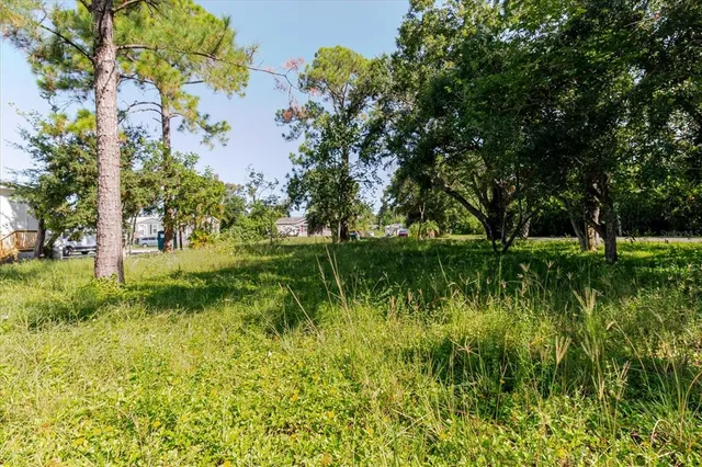 a view of a garden with a lake