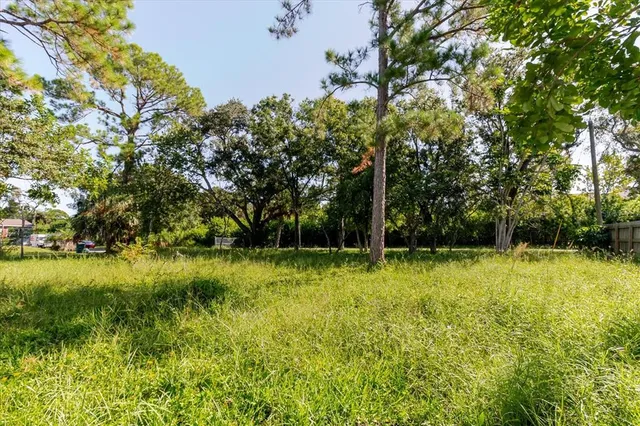 a view of a backyard with plants and large trees