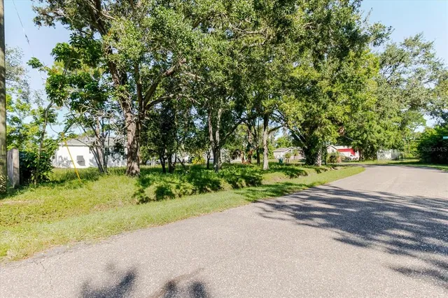 a green field with lots of trees