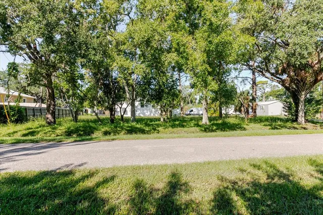 a view of a yard with plants and trees