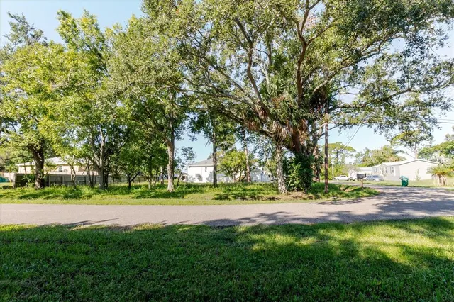 a view of a ground with large trees