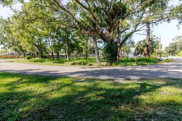 a backyard of a house with lots of green space and trees