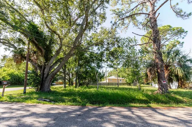 a view of a yard with plants and trees