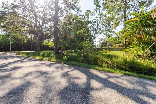 a view of a street with a yard and a large trees
