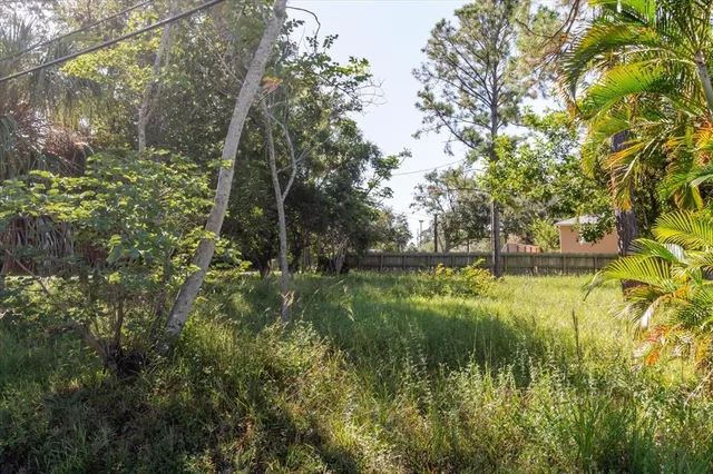 a view of outdoor space and yard