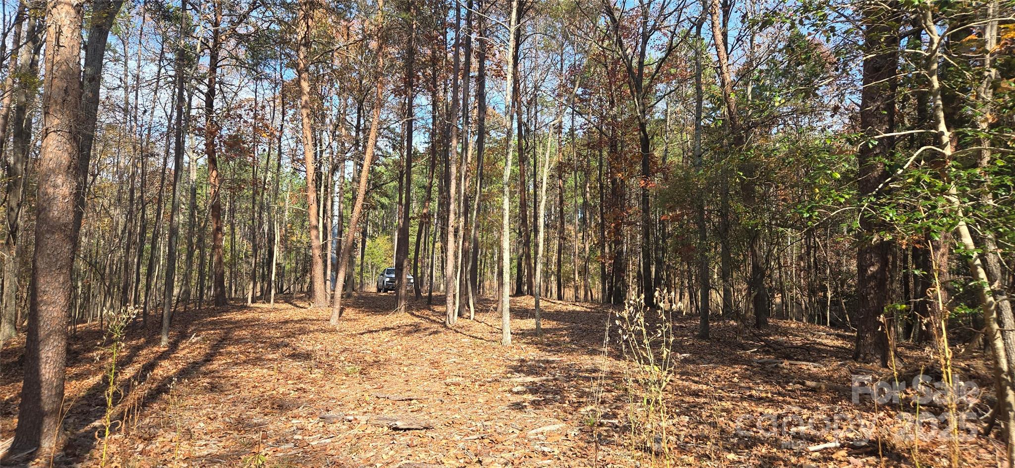 4151 Concord Road, Unit 12 York, SC 29745 - Photo 2 of 9 a view of outdoor space with trees
