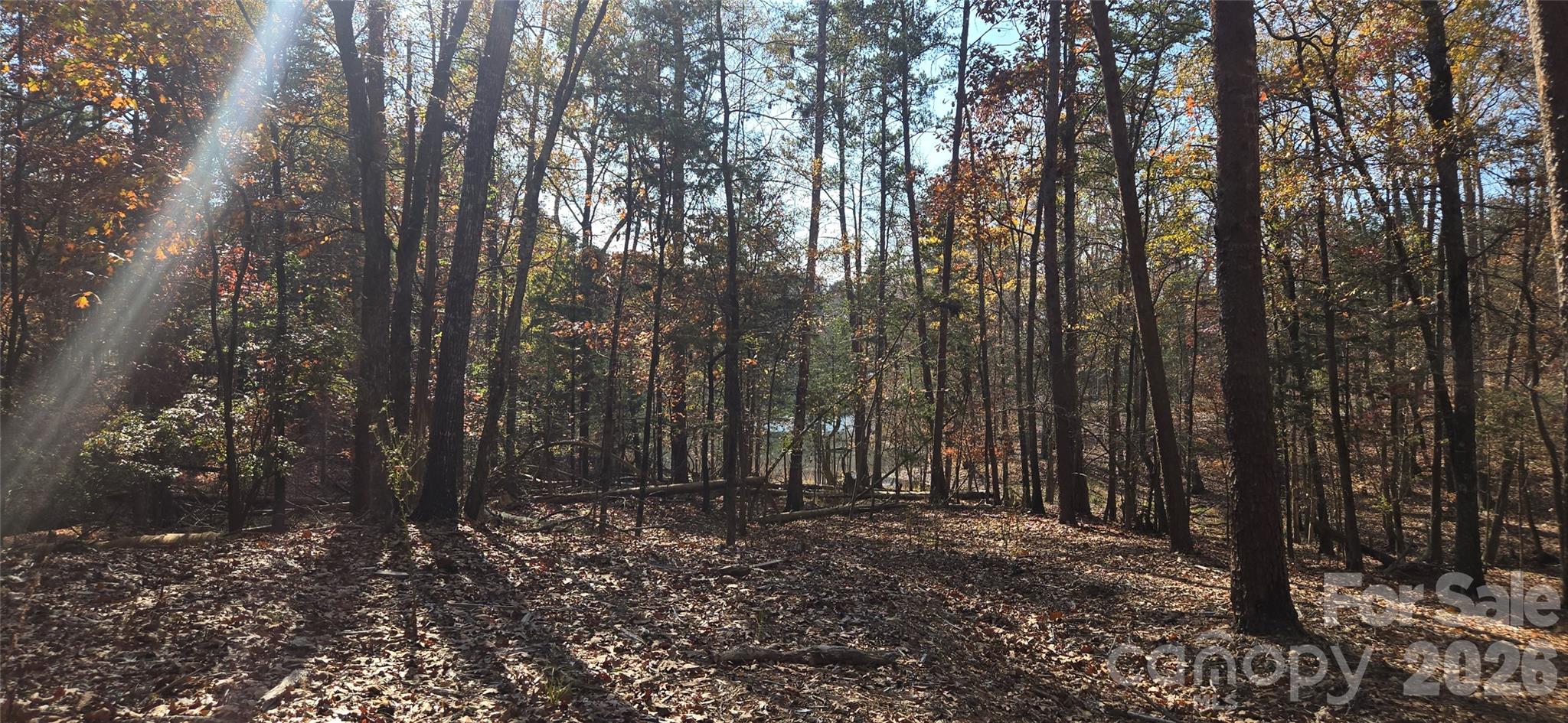 4151 Concord Road, Unit 12 York, SC 29745 - Photo 2 of 9 a view of outdoor space with lots of trees