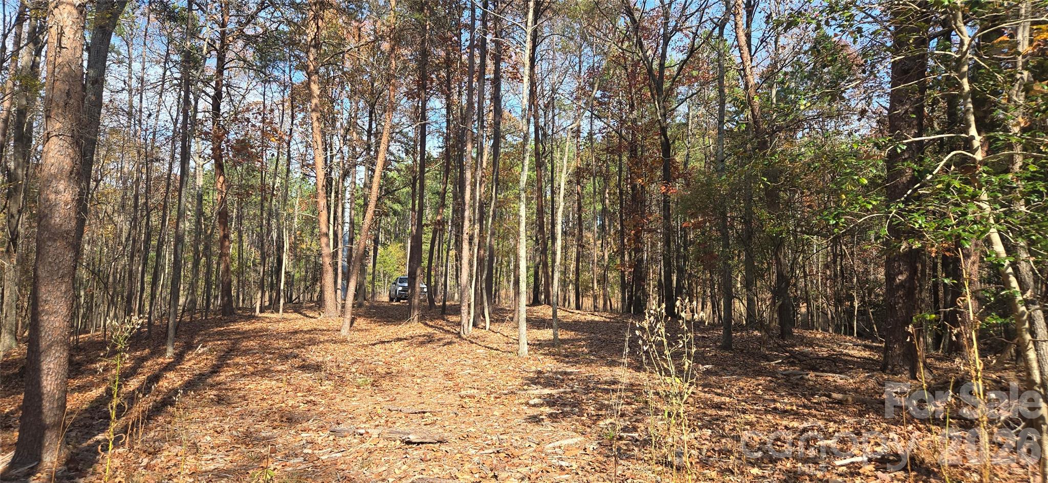 4151 Concord Road, Unit 12 York, SC 29745 - Photo 3 of 9 a view of outdoor space with trees
