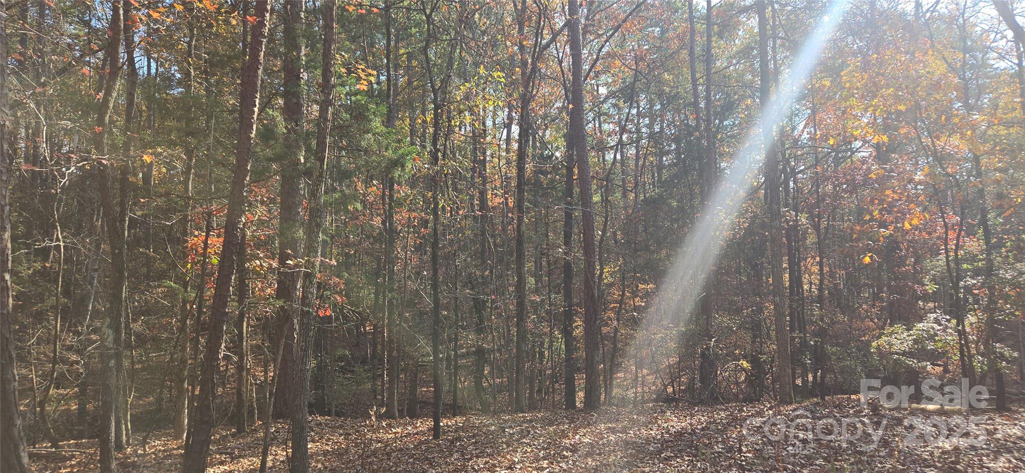 4151 Concord Road, Unit 12 York, SC 29745 - Photo 3 of 9 a view of a yard with trees