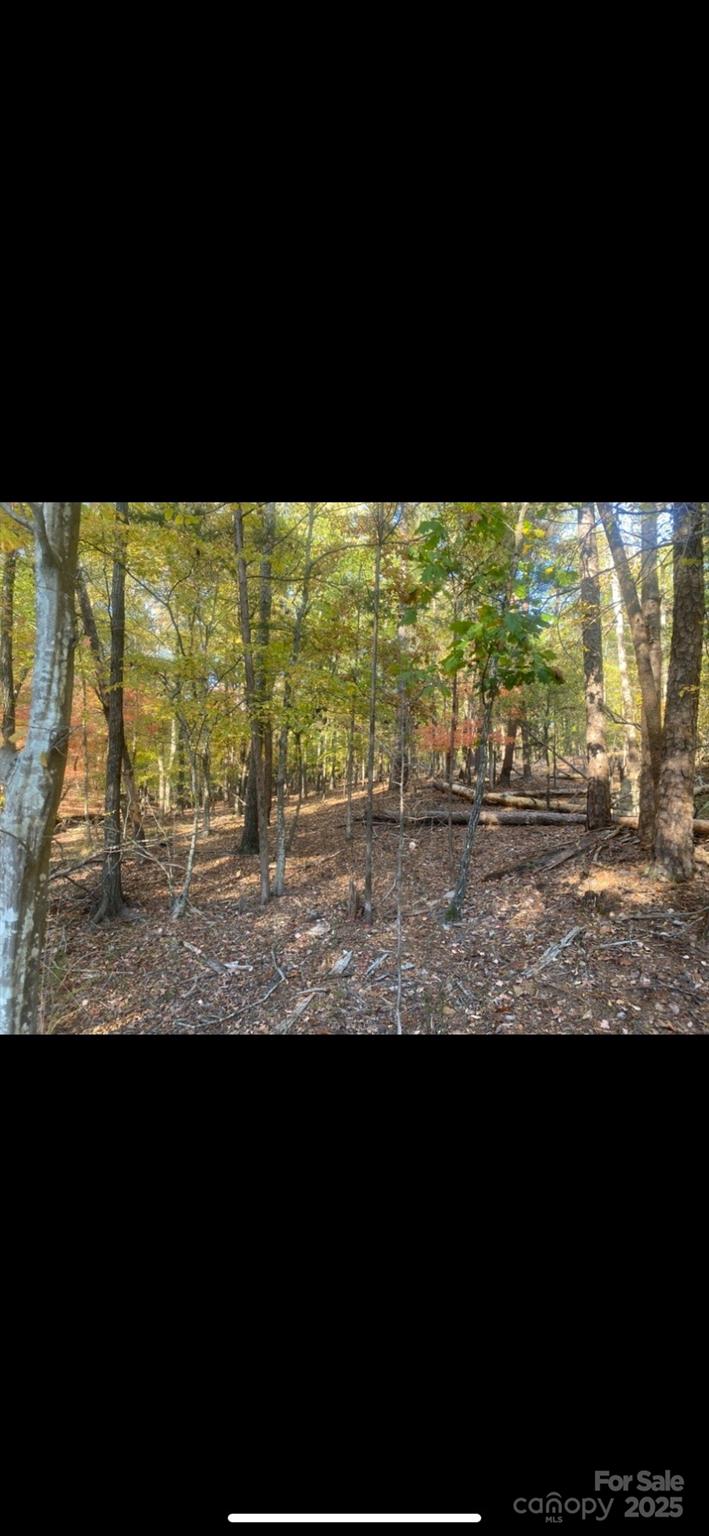 4151 Concord Road, Unit 12 York, SC 29745 - Photo 9 of 9 a view of sky from window