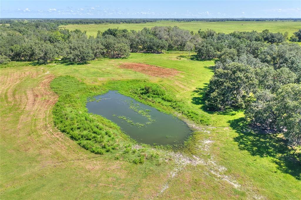 Northwest Limestone Heights Street Arcadia, FL 34266 - Photo 24 of 62